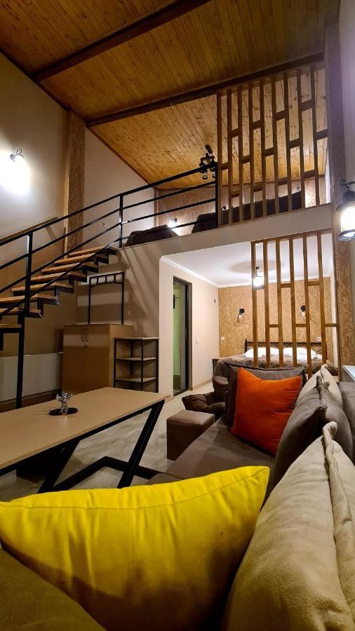 Kheta Apartments Kazbegi المظهر الخارجي الصورة